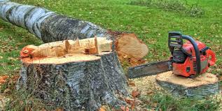 Best Firewood Processing and Delivery  in Bellingham, WA